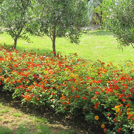 Messinian Blue Seaside 빌라