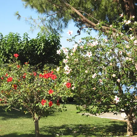 Villa Messinian Blue Seaside Kalamata