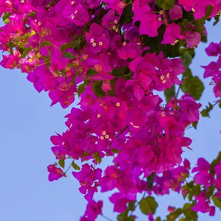 Messinian Blue Seaside Villa