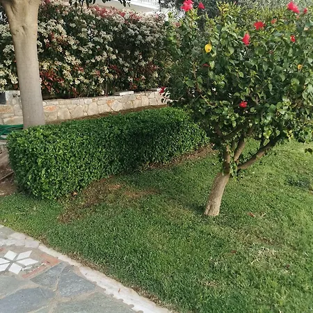 Messinian Blue Seaside