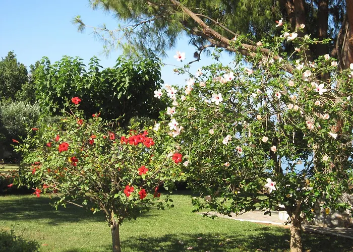 Villa Messinian Blue Seaside Calamata