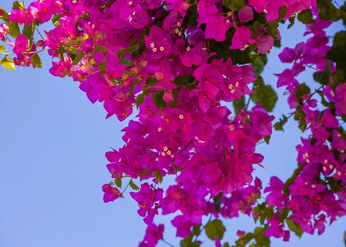 Messinian Blue Seaside Villa