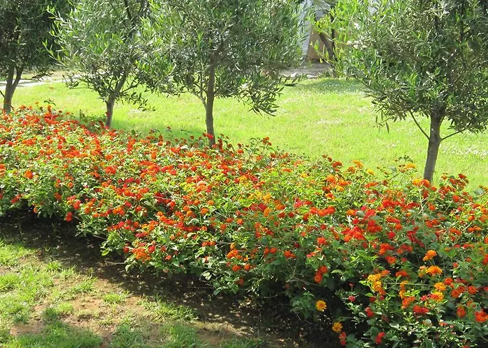 Messinian Blue Seaside